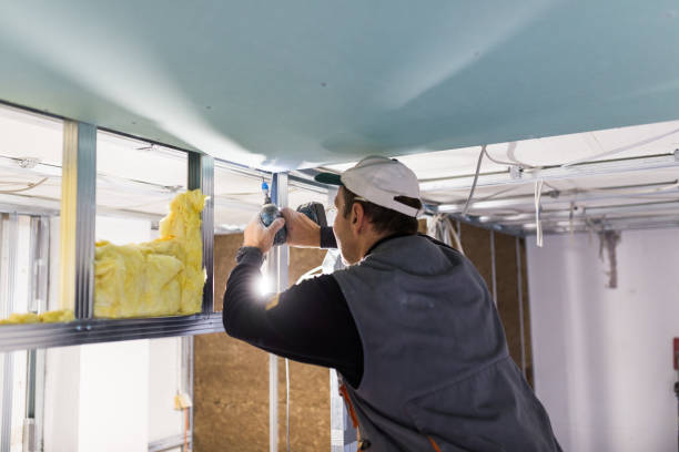 Best Insulation for Existing Homes  in River Rouge, MI